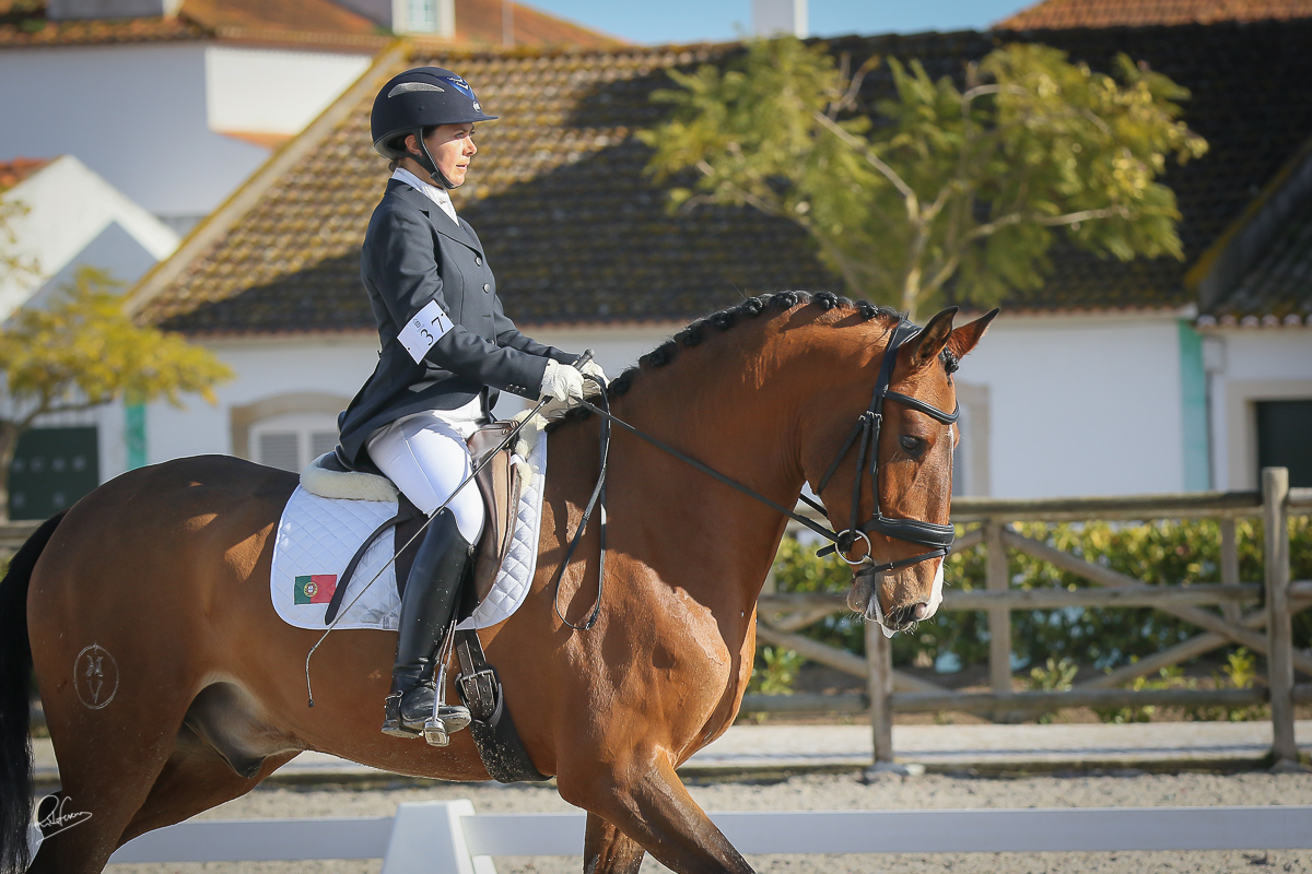 Jeronimo MVL owned by Elisabeth Berglund