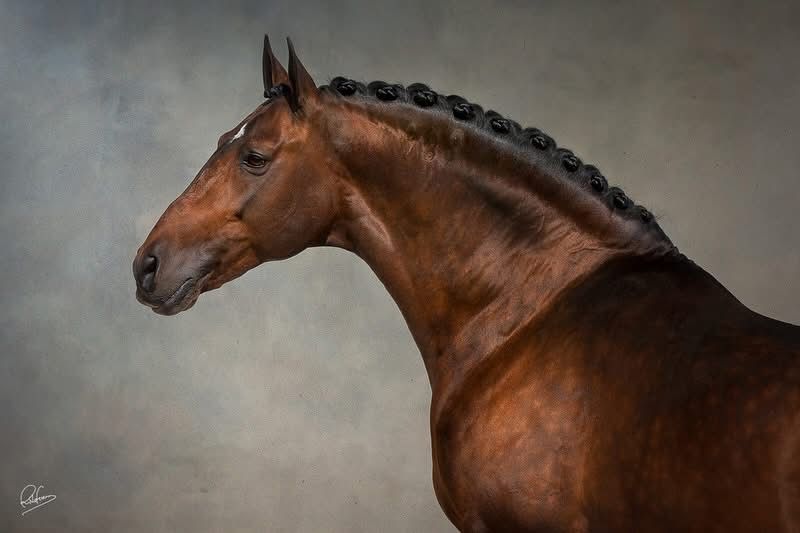 WhatsApp Image 2026-01-22 at 08.07.03.jpeg